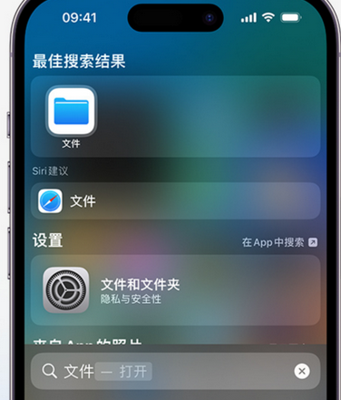 巴中apple维修中心分享iPhone文件应用中存储和找到下载文件