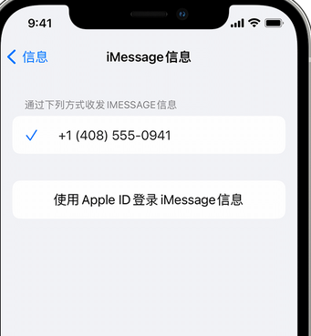 巴中apple维修iPhone上无法正常发送iMessage信息 