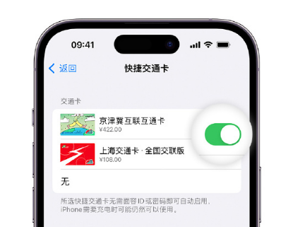 巴中apple维修点分享iPhone上更换Apple Pay快捷交通卡手绘卡面 