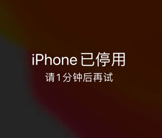 巴中苹果手机维修分享:iPhone 显示“不可用”或“已停用”怎么办？还能保留数据吗？ 