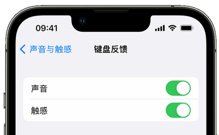 巴中苹果手机维修分享iPhone 14触感键盘使用方法 