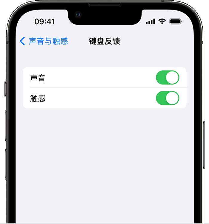 巴中苹果14维修店分享如何在 iPhone 14 机型中使用触感键盘 