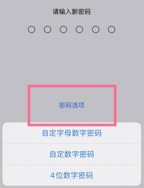 巴中苹果14维修分享iPhone 14plus设置密码的方法 