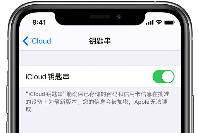 巴中苹果手机维修分享在 iPhone 上开启 iCloud 钥匙串之后会储存哪些信息 