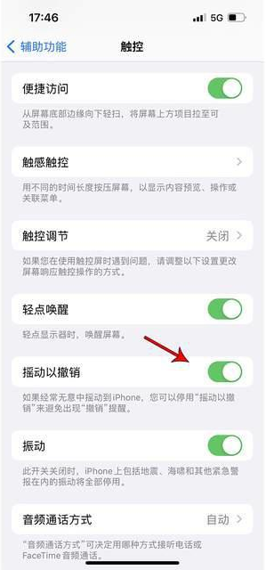 巴中苹果手机维修分享iPhone手机如何设置摇一摇删除文字 