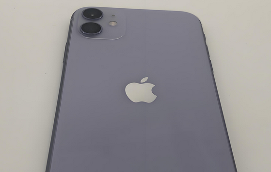 巴中苹果11系统维修分享iPhone11手机系统崩溃无法开机如何解决 
